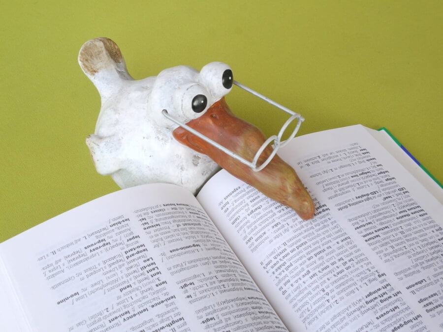 School Reading