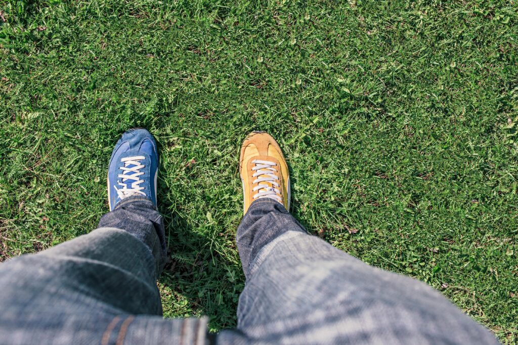 pexels gratisography 539